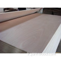12 mm okoume face éventail Poplar Core Commercial Plywood